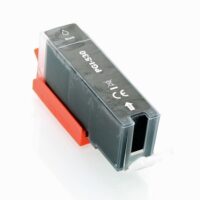 530 - Canon PGI 530 Cartouche d'encre générique noire - Remplace 6117C001/PGI 530PGBK