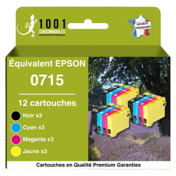 Cartouches d'encre équivalent Epson T0715 compatible (T0895) « Guépard et Singe » Pack 12 Couleurs