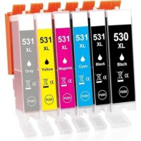 Cartouches d'encre équivalent CANON PGI 530-CLI 531 compatible + Gris (PGI530-CLI531) - Pack 6 cartouches - 5 couleurs avec gris 